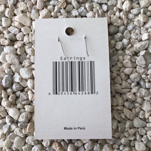 NEW Flip Flop Earrings AQUA MOON French Wire Pierced Spirit of Nature Drop Boho - Picture 4 of 6